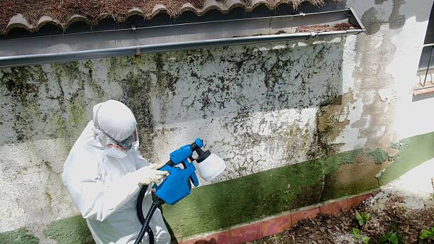 Top rated local Mold Remediation specialists in Wyckoff, NJ